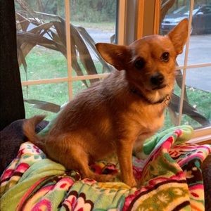 Meet your Posher, Fredia